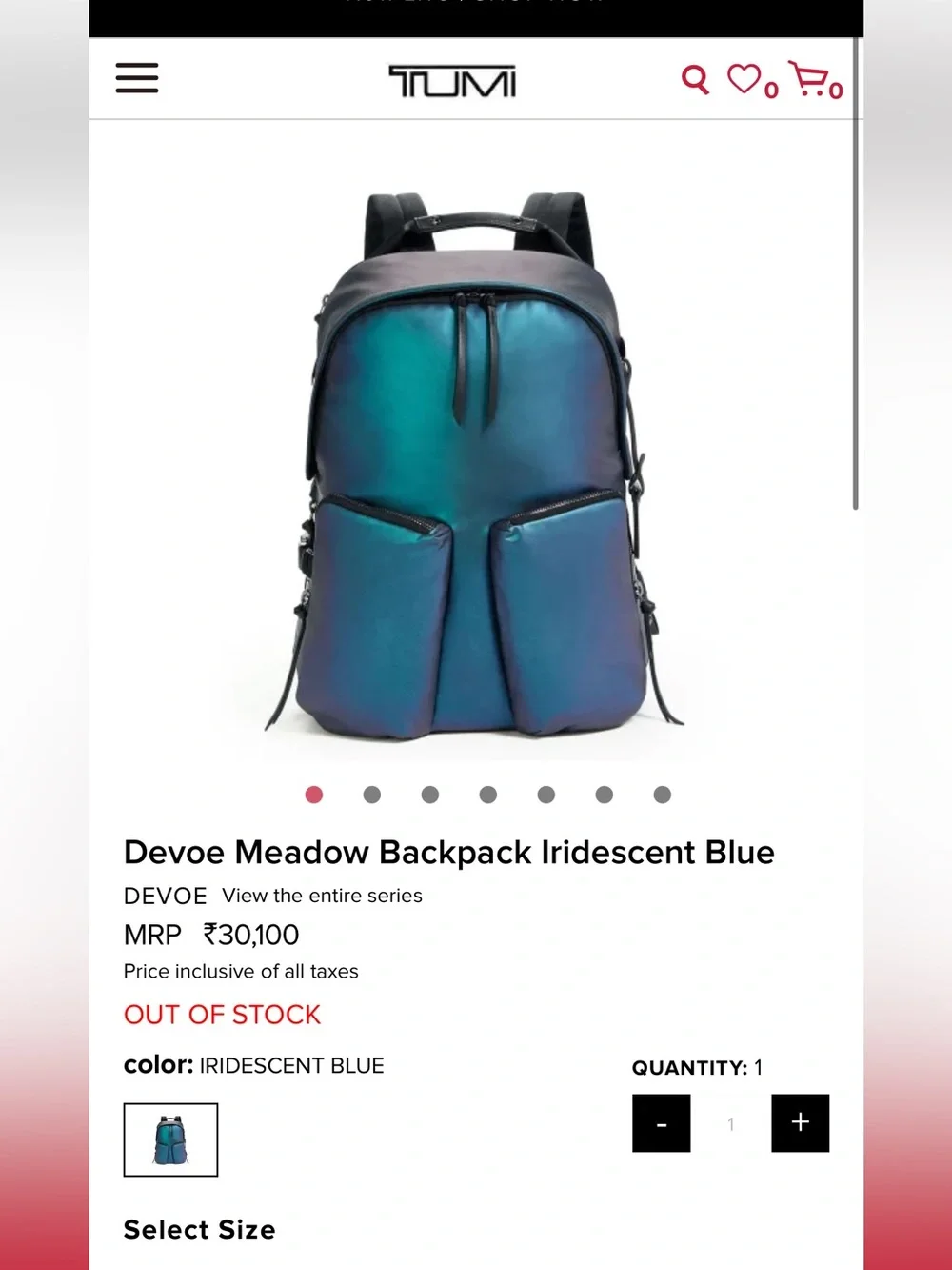 Tumi Backpack